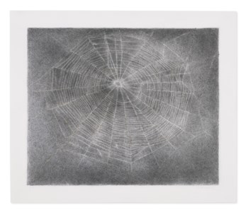 Web #10