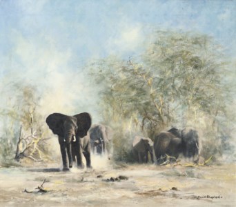 Elephants