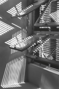 Dining Room Window: Reflections and Mirroring, 1939