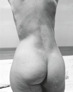 Nude studies, c. 1950