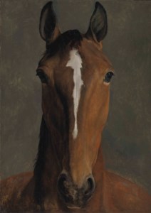 Head of a bay horse