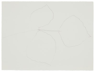 Coral Leaf 5
