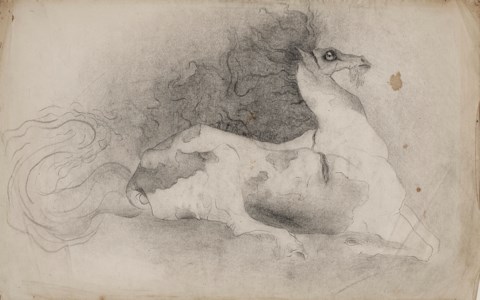 Bearded Horse Sheet from the September 1940 sketchbook (Sanatorio Morales, Santander).