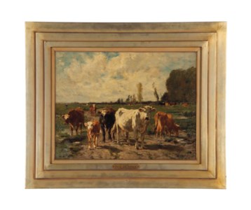 Cows