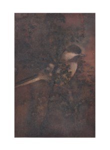 Untitled (Bird on Tree)