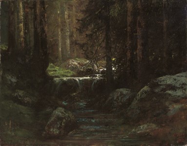 A stream in the forest of Fontainbleau