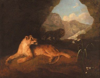 A lion and lioness in a cave