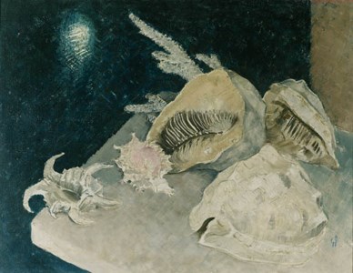 Shells