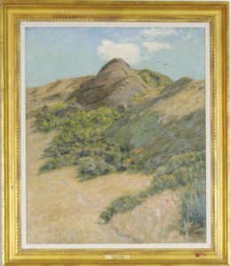 Desert landscape