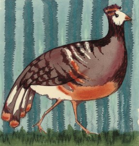 Hen