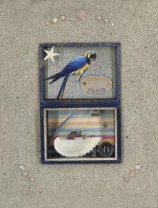 Blue Treasure Island Box