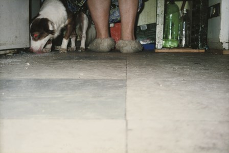 Untitled (RAL36)