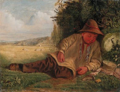 Afternoon Rest