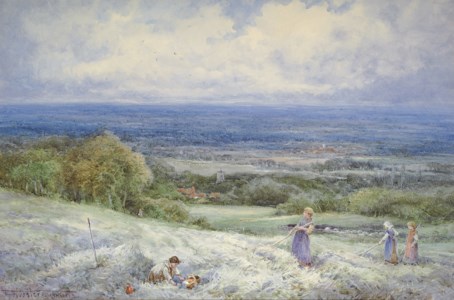 In a hayfield, near Wantage, Oxfordshire