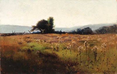 Mountain View from High Field