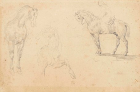 Three studies of a horse, one with a mounted rider