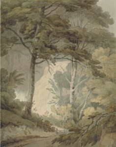 The lower part of Corra Linn, one of the Falls of the Clyde, Lanarkshire