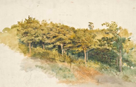 Study of a copse