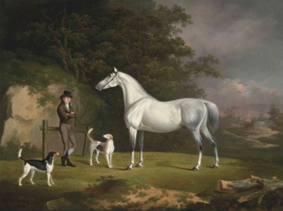 A grey hunter with a groom and two hounds in a wooded landscape