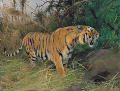Tiger and its Prey