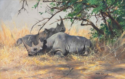 Two rhinoceros resting
