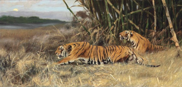 Wilhelm Kuhnert, Two stalking tigers