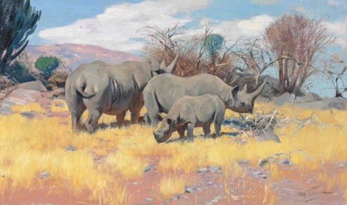 A group of rhinoceros