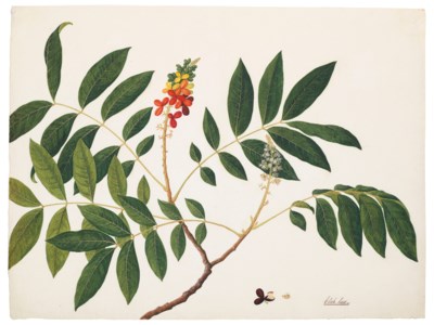 INDIA OR SOUTHEAST ASIA, LATE 18TH/EARLY 19TH CENTURY
