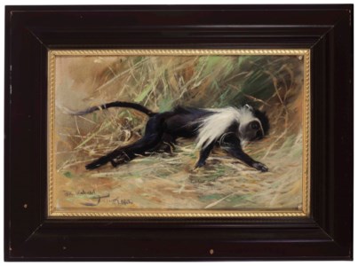A Sleeping Monkey