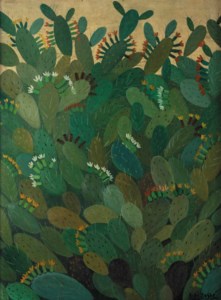 CACTUS EN FLOR