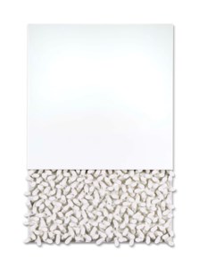 Sergio Camargo, Relief No. 285