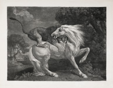 A Lion Devouring a Horse