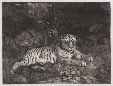 Two Tygers