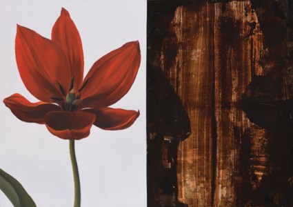 Tulip / The Shape Of Venus