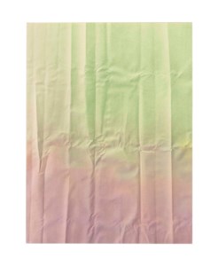 Tauba Auerbach, Untitled (Fold)