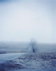 Untitled #5157, 2006