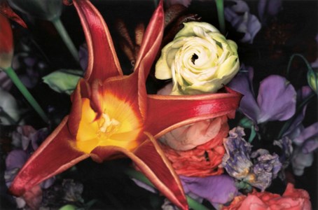 Flower Rondeau, 1990s