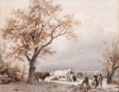Cows in a sunlit meadow