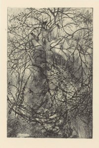 Branchages