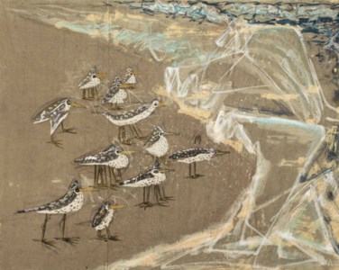 Shore Birds