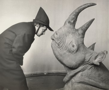 Dali and Rhinoceros, 1981