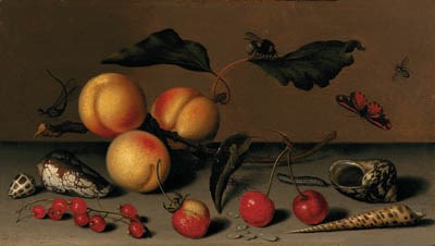 Balthasar van der Ast, Apricots on a stalk, cherries, a wild strawberry, redcurrants, shells, a butterfly, a bee, a spider, a fly, a caterpillar and a dragonfly on a ledge