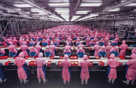 Manufacturing #17, Deda Chicken Processing Plant, Dehui City, Jilin Province, China, 2005
