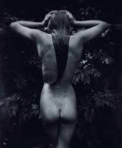 Punctus, 1992