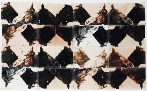 Horses, 1986