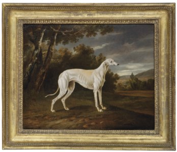 Waggoner , a greyhound, in a landscape