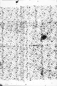 Christopher Wool, Untitled