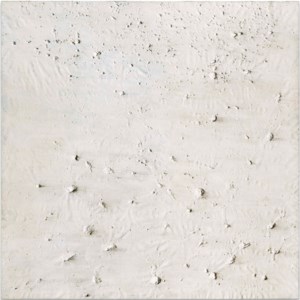 Coprolithes I