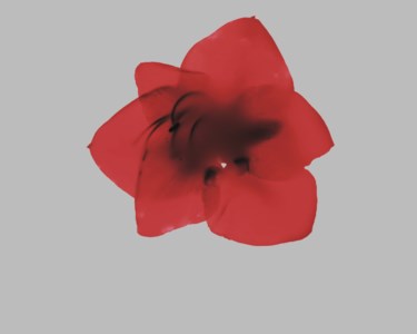 Amaryllis IV, 2002