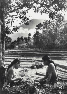 The Sacred Mountains of Bali, 1953